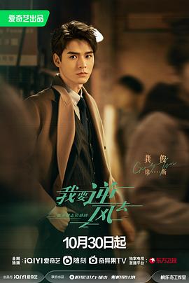 网站整站优化怎样做